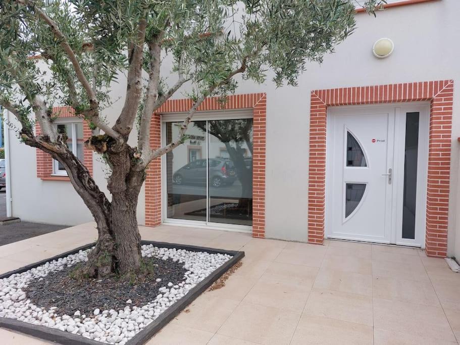 Appartement T3 Climatise, Parking Et Jardin Quartier Des Marots A Colomiers Extérieur photo